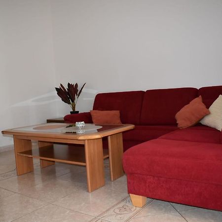 Pet Friendly Apartment Murvi 50 Novigrad Istria Eksteriør bilde