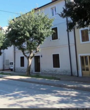 Pet Friendly Apartment Murvi 50 Novigrad Istria Eksteriør bilde